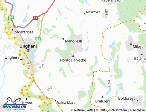 Mapa MICHELIN Florițoaia Veche - ViaMichelin