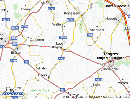 Mappa MICHELIN Borgloon - ViaMichelin
