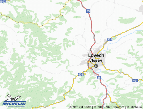 MICHELIN Skobelevo map - ViaMichelin