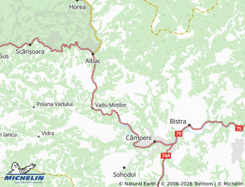 Carte MICHELIN Borlești - ViaMichelin