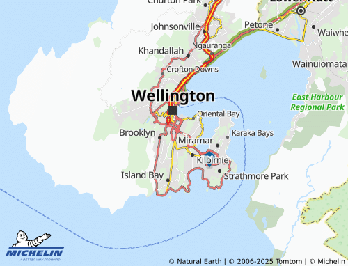 MICHELIN Mount Cook map - ViaMichelin