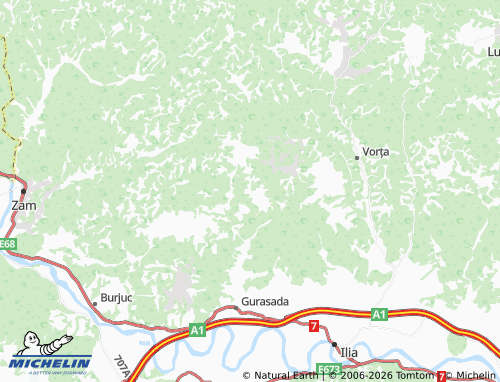Mappa MICHELIN Boiu De Jos - ViaMichelin