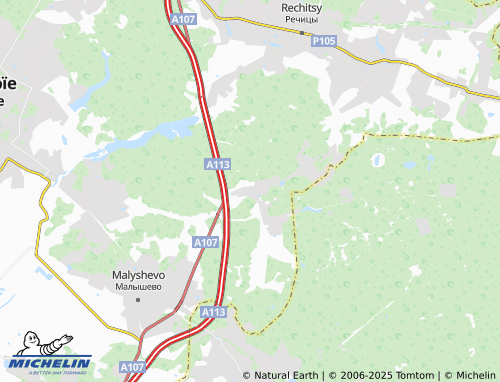 MICHELIN Plaskinino map - ViaMichelin