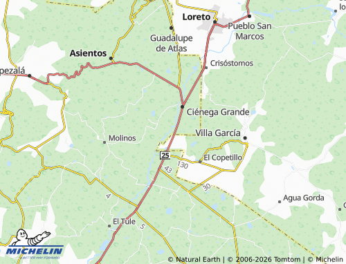 Mappa MICHELIN Lázaro Cárdenas, Molino Viejo - ViaMichelin