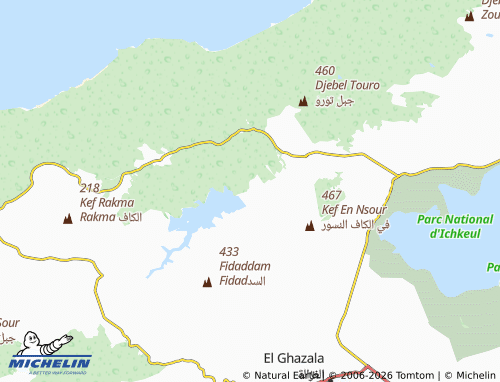 Mappa MICHELIN Amadin - ViaMichelin