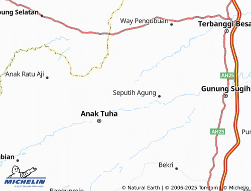 MICHELIN Negara Bumi Ilir map - ViaMichelin