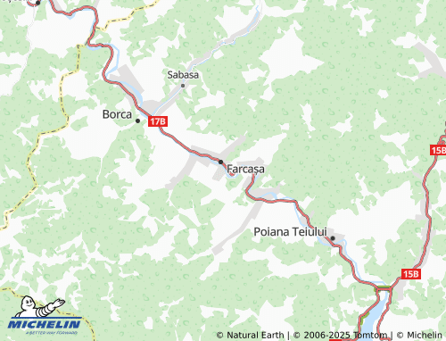 MICHELIN Bușmei map - ViaMichelin