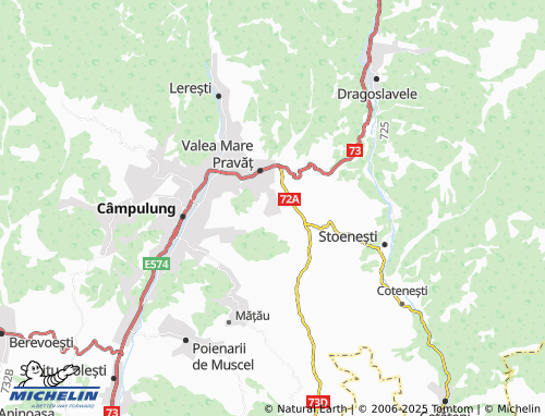 MICHELIN Bilcești map - ViaMichelin
