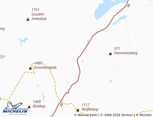 Carte MICHELIN Stettyn - ViaMichelin