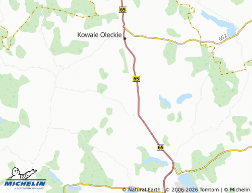 MICHELIN Rogówko map - ViaMichelin