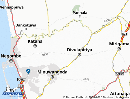MICHELIN Palliyapitiya East map - ViaMichelin