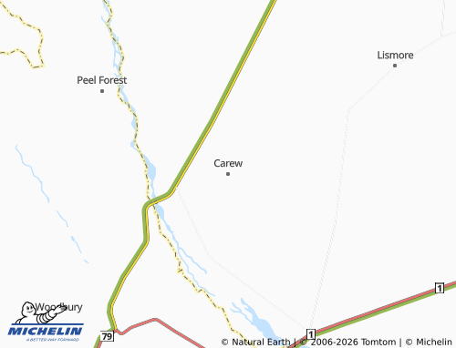 Mapa MICHELIN Carew - ViaMichelin