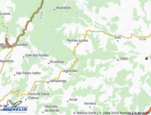 Mappa MICHELIN Falgueiras - ViaMichelin