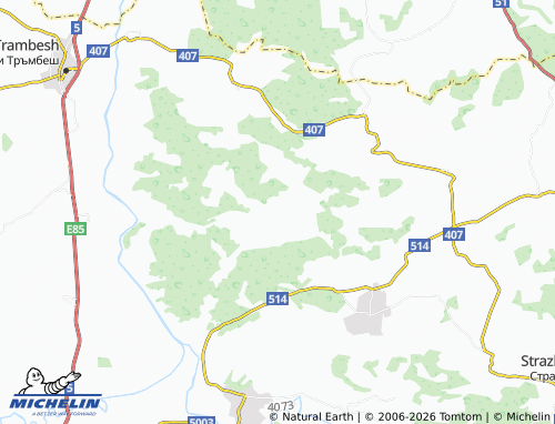 Mapa MICHELIN Strelets - ViaMichelin