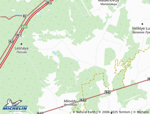 MICHELIN Novosady map - ViaMichelin