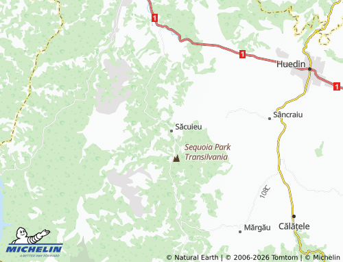 Mappa MICHELIN Săcuieu - ViaMichelin
