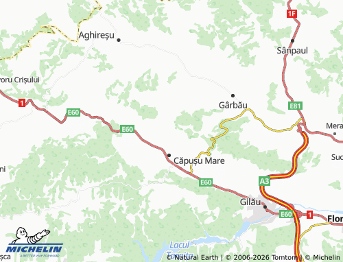 Mapa MICHELIN Straja - ViaMichelin