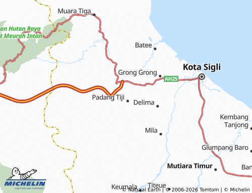 Mappa MICHELIN Perlak Peudaya - ViaMichelin