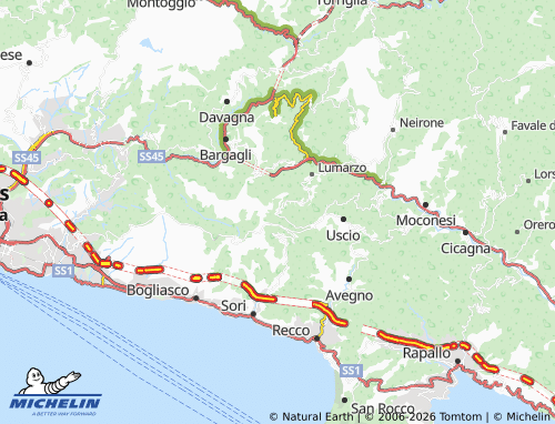 MICHELIN Pannesi map - ViaMichelin