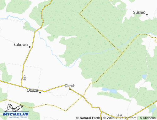 MICHELIN Borowiec map - ViaMichelin