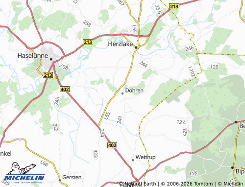 MICHELIN Dohren map - ViaMichelin