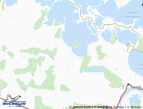 Mapa MICHELIN La Potosina - ViaMichelin