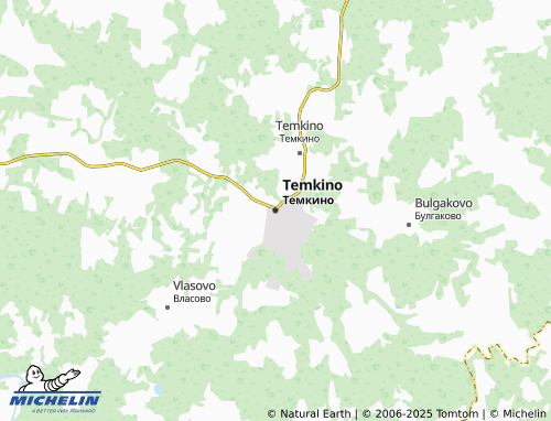 MICHELIN Temkino map - ViaMichelin