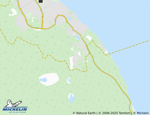 MICHELIN Ptitsefabrika poselok map - ViaMichelin