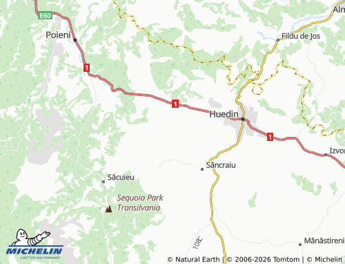 MICHELIN Brăișoru map - ViaMichelin
