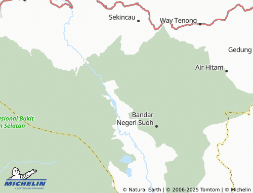 MICHELIN Ringin Jaya map - ViaMichelin