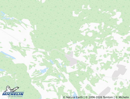 MICHELIN-Landkarte Pionerskoye - ViaMichelin