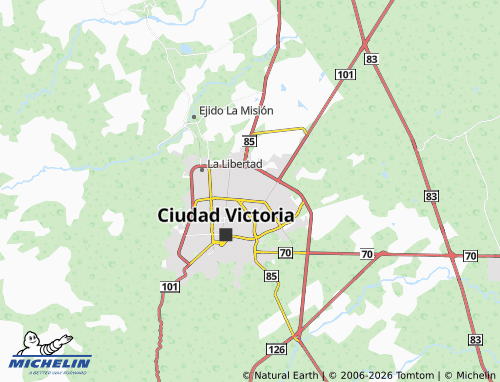 Mappa MICHELIN Villa del Bosque - ViaMichelin