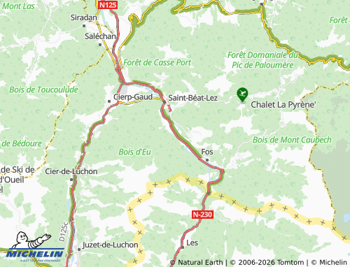 Mappa MICHELIN Arlos - ViaMichelin