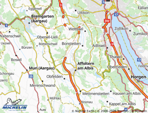 Carte MICHELIN Hedingen - ViaMichelin