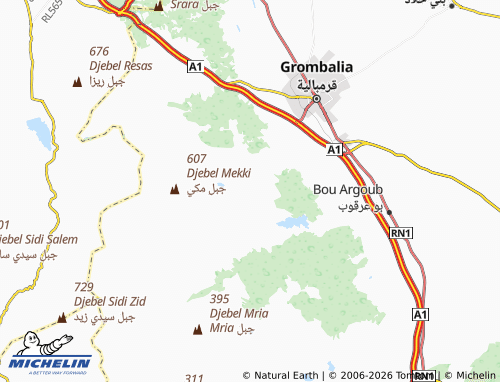 MICHELIN Duwwar Ayyad map - ViaMichelin