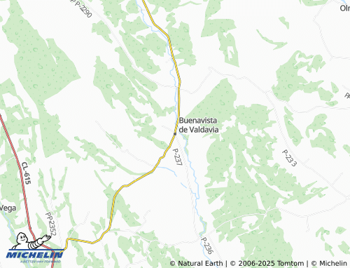 MICHELIN Buenavista de Valdavia map - ViaMichelin