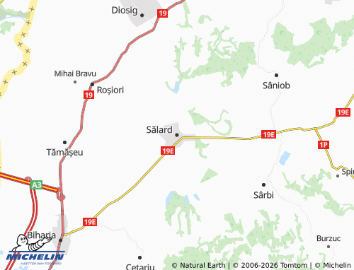 Mapa MICHELIN Sălard - ViaMichelin