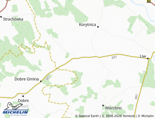Carte MICHELIN Pniewnik - ViaMichelin