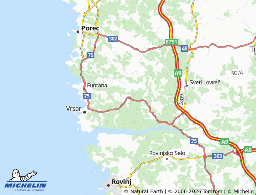 Kaart MICHELIN Flengi - ViaMichelin