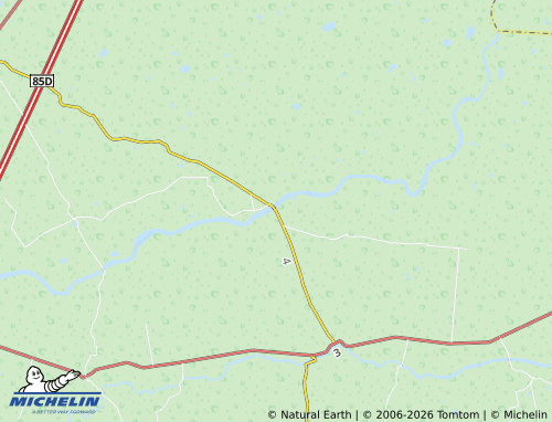 MICHELIN San Carlos map - ViaMichelin