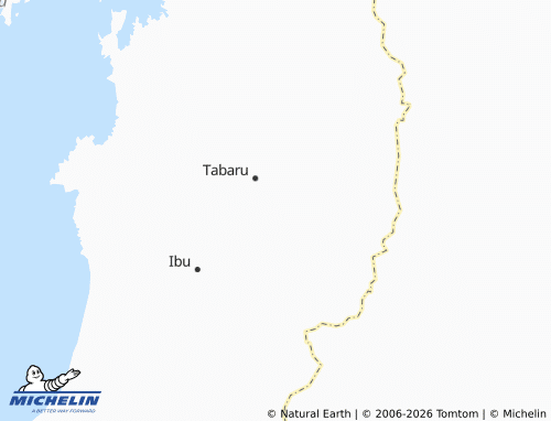 MICHELIN Borona map - ViaMichelin