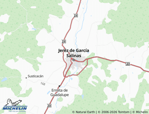 Carte MICHELIN CTM - ViaMichelin