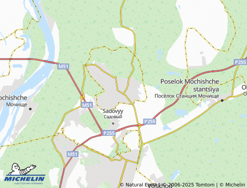 MICHELIN Pashino map - ViaMichelin