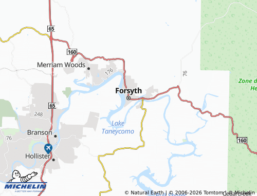 Mapa MICHELIN Forsyth - ViaMichelin