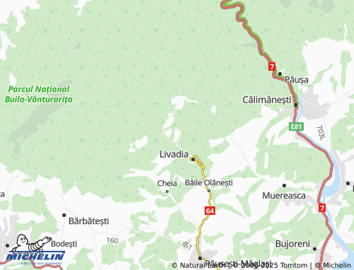 Mappa MICHELIN Pietrișu - ViaMichelin