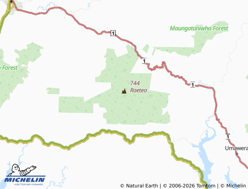 Mapa MICHELIN Raetea Forest - ViaMichelin