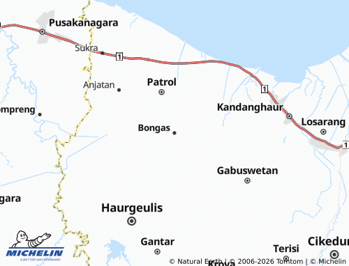 Mapa MICHELIN Bongas - ViaMichelin
