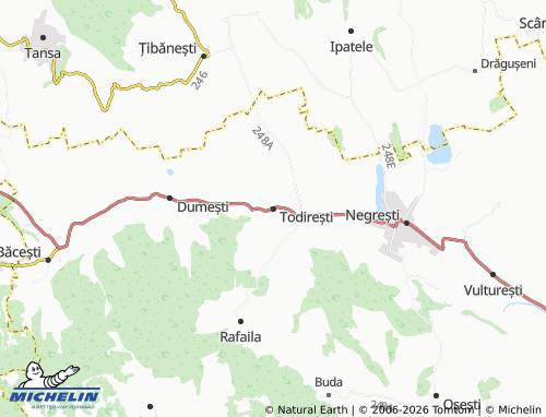 MICHELIN Todirești map - ViaMichelin