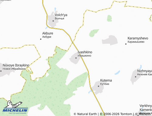 MICHELIN-Landkarte Ivashkino - ViaMichelin