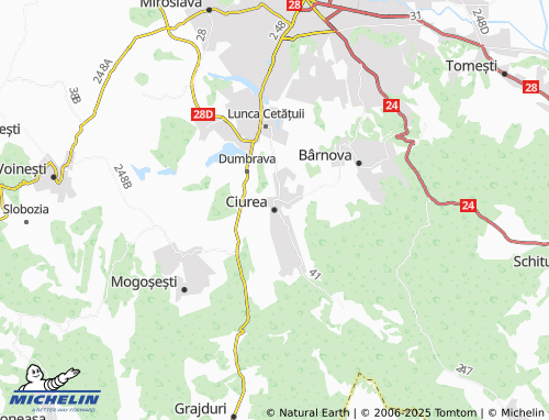 MICHELIN Ciurea map - ViaMichelin